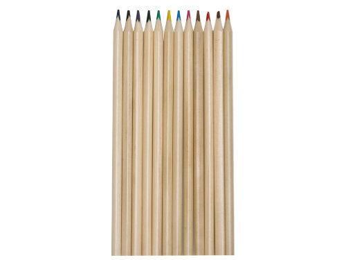 Набор из 12 цветных карандашей Painter, крафт